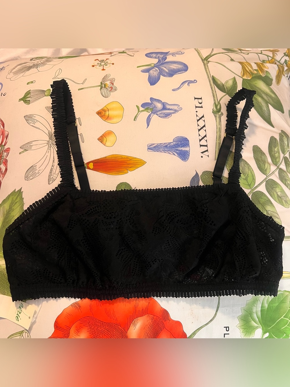 AERIE Black Coral Lace Bralette LARGE NEW WITH TAG